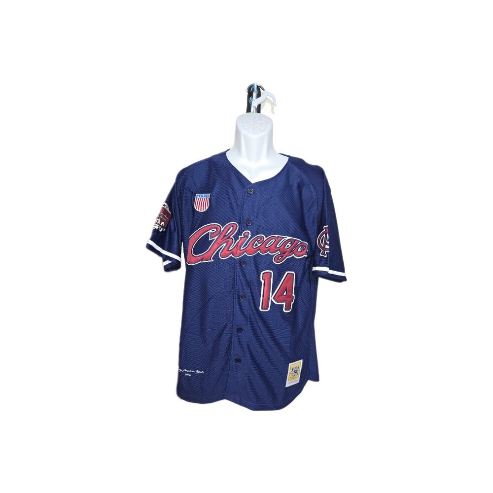 Chicago American Giants Negro League jersey! "Rube Curry"